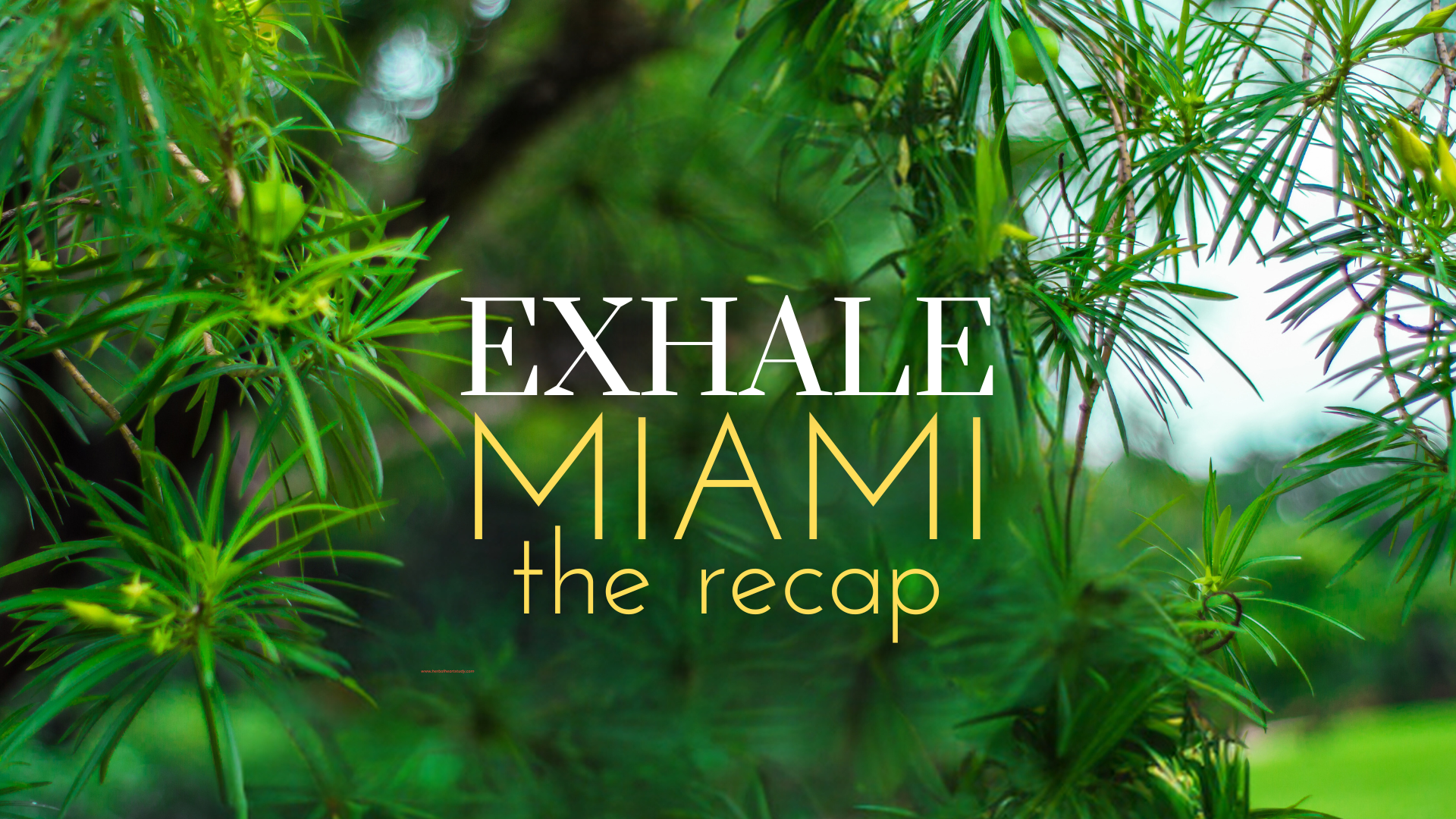 EXHALE MIAMI: THE RECAP